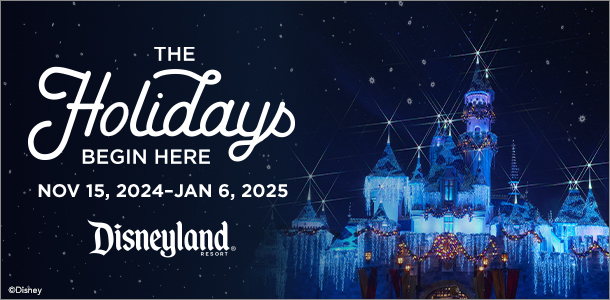 Disney Holidays banner