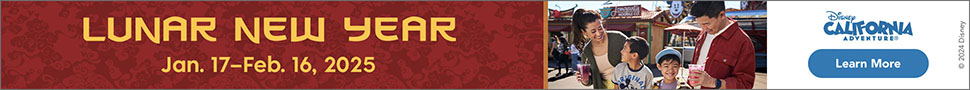 Lunar New Year Disney ticket banner