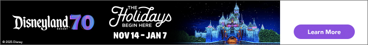 Disneyland ticket store banner and link